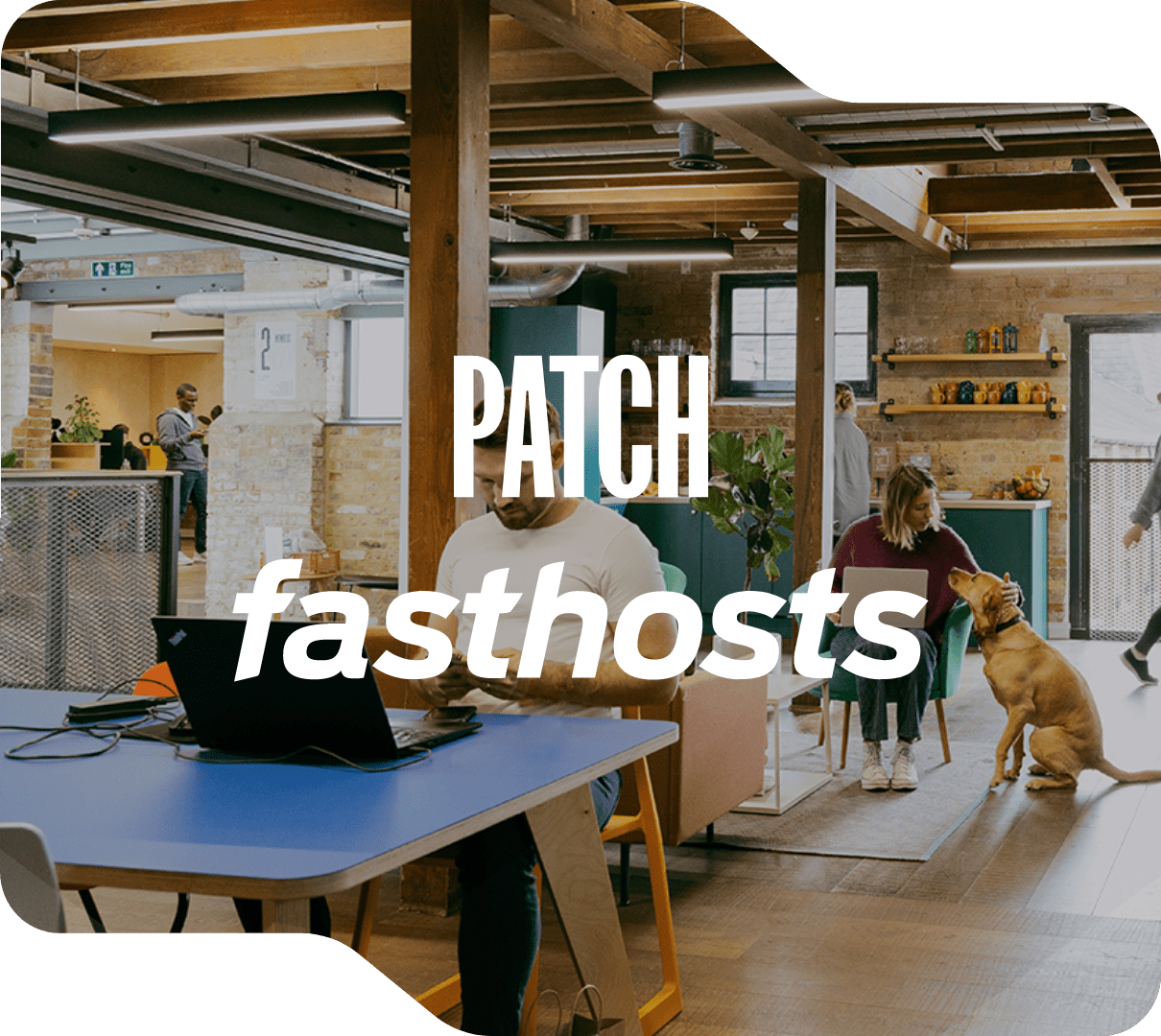 A man working at a blue desk and a woman petting a dog in a modern, open-plan office.