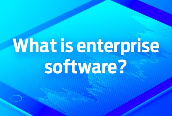 What is enterprise software?