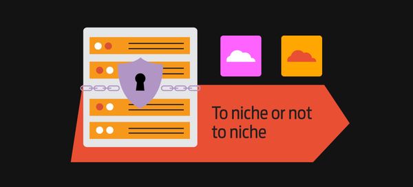 To niche or not to niche – the IT question